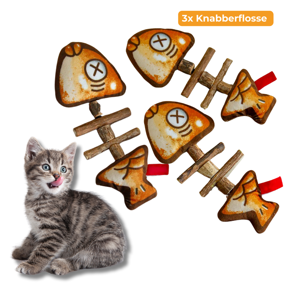 Knabberflosse - für gesunde Katzenzähne