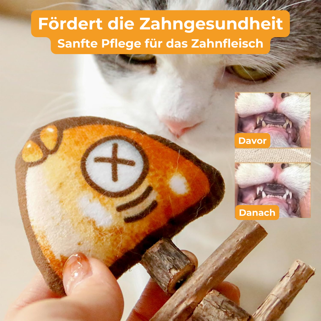 Knabberflosse - für gesunde Katzenzähne