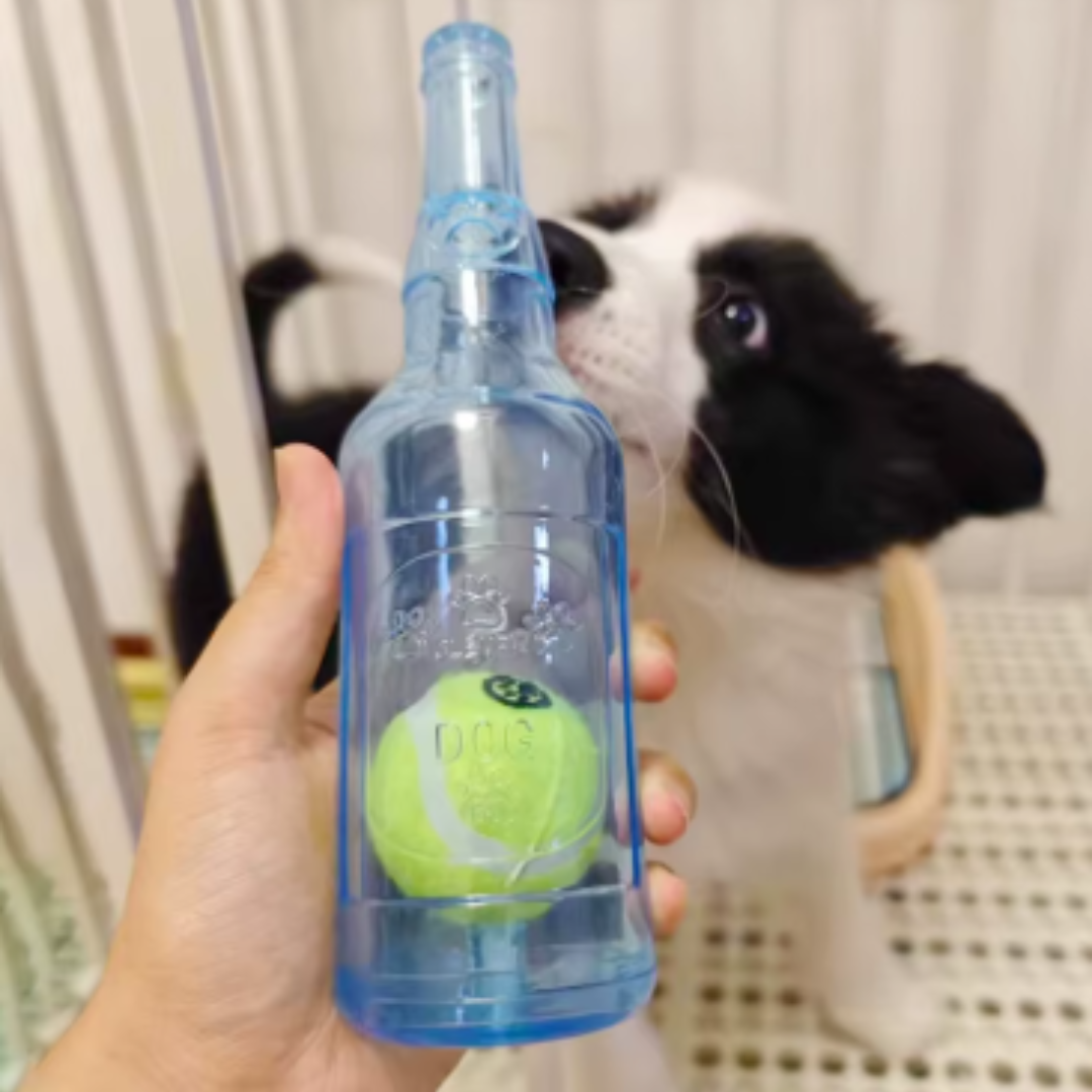 KauBuddy - für ausdauernde Kauer