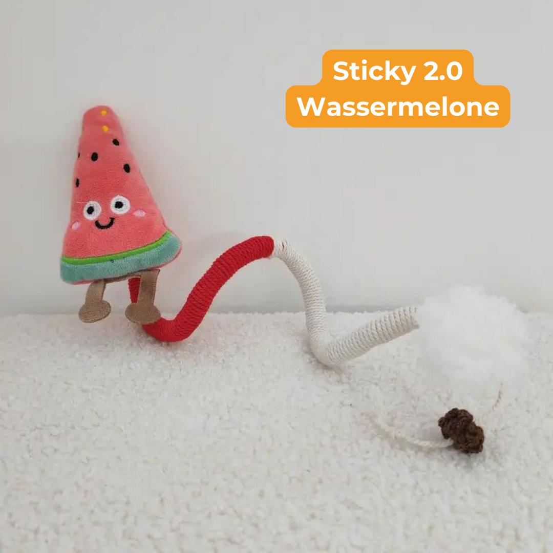Sticky Knabberseil 2.0 - Spielspaß & Zahnpflege in einem!