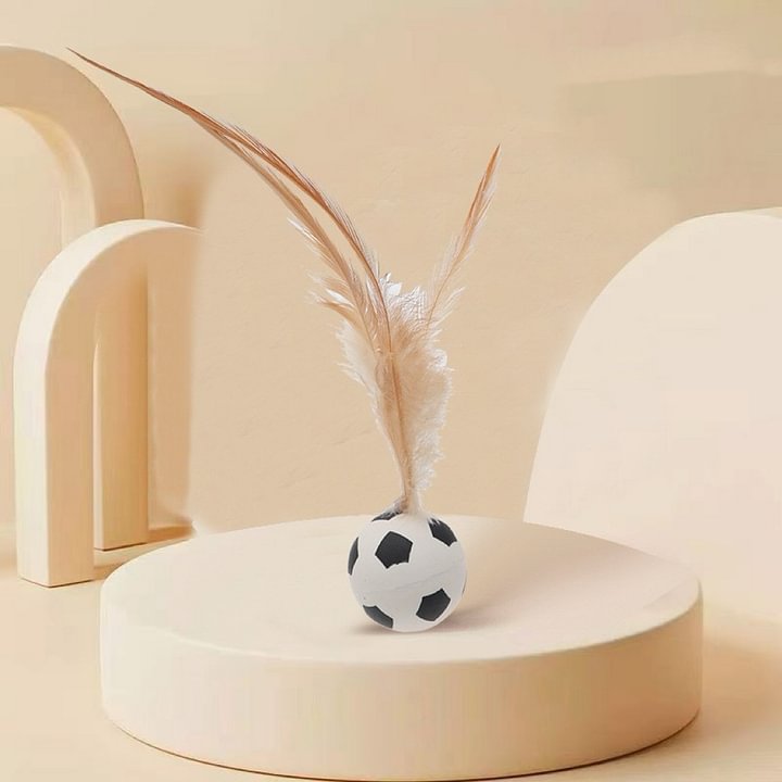BounceBall - Katzenspielzeug