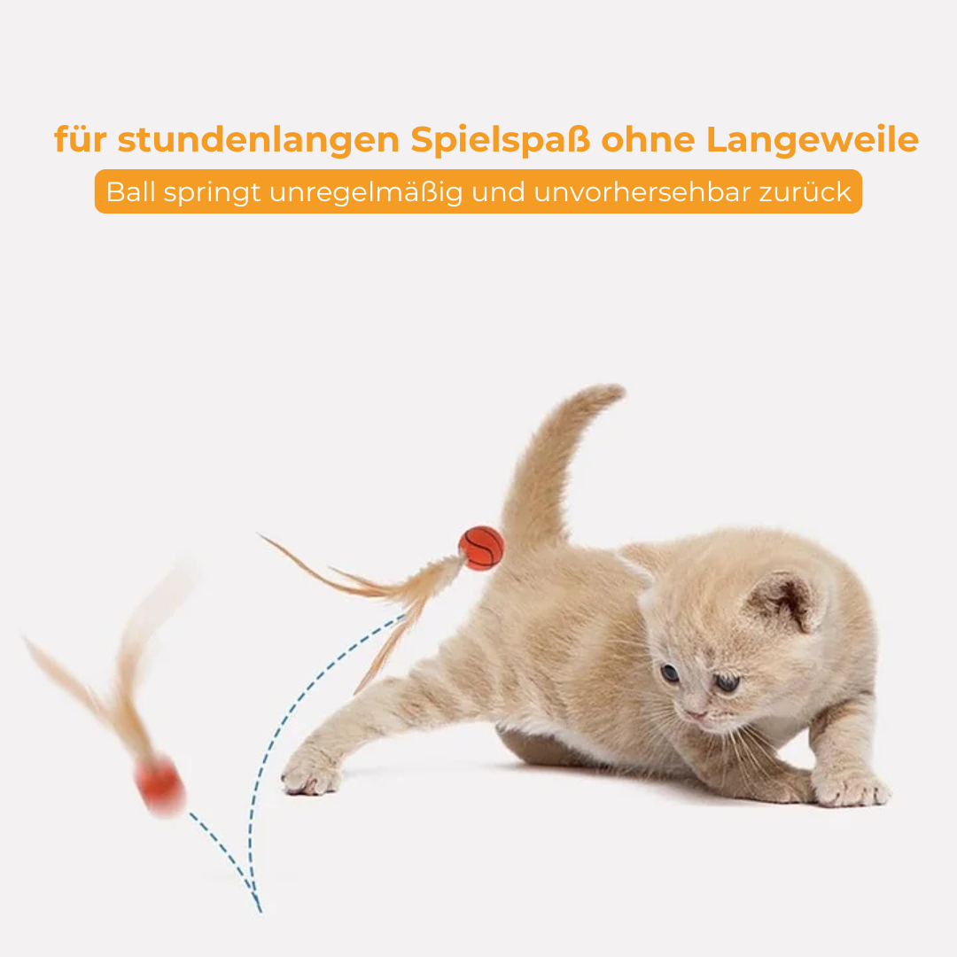 BounceBall - Katzenspielzeug