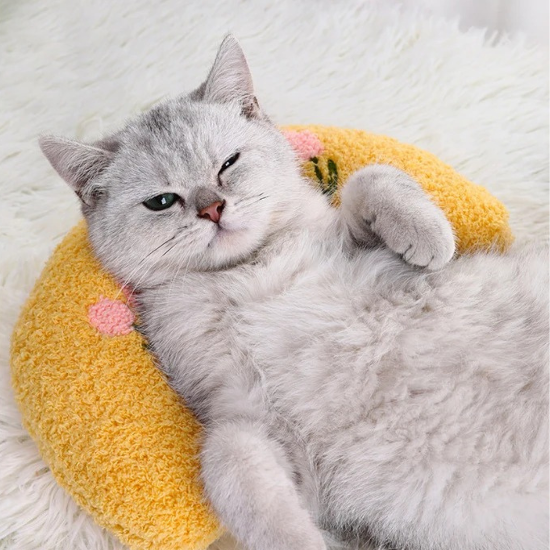 Sleepy - beruhigendes Kissen für deine Katze