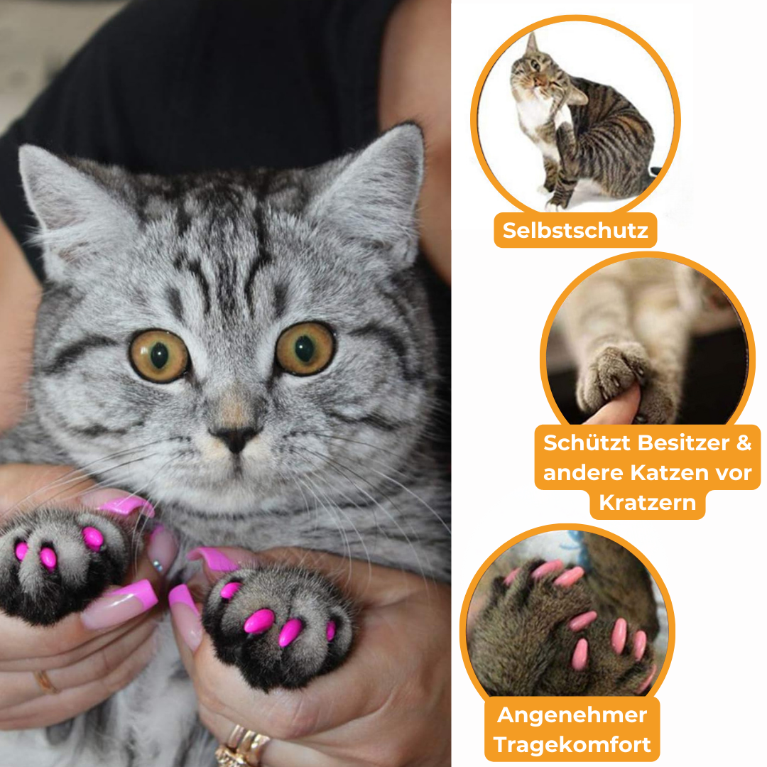 PawSafe Caps - Kratzschutz für Wunden