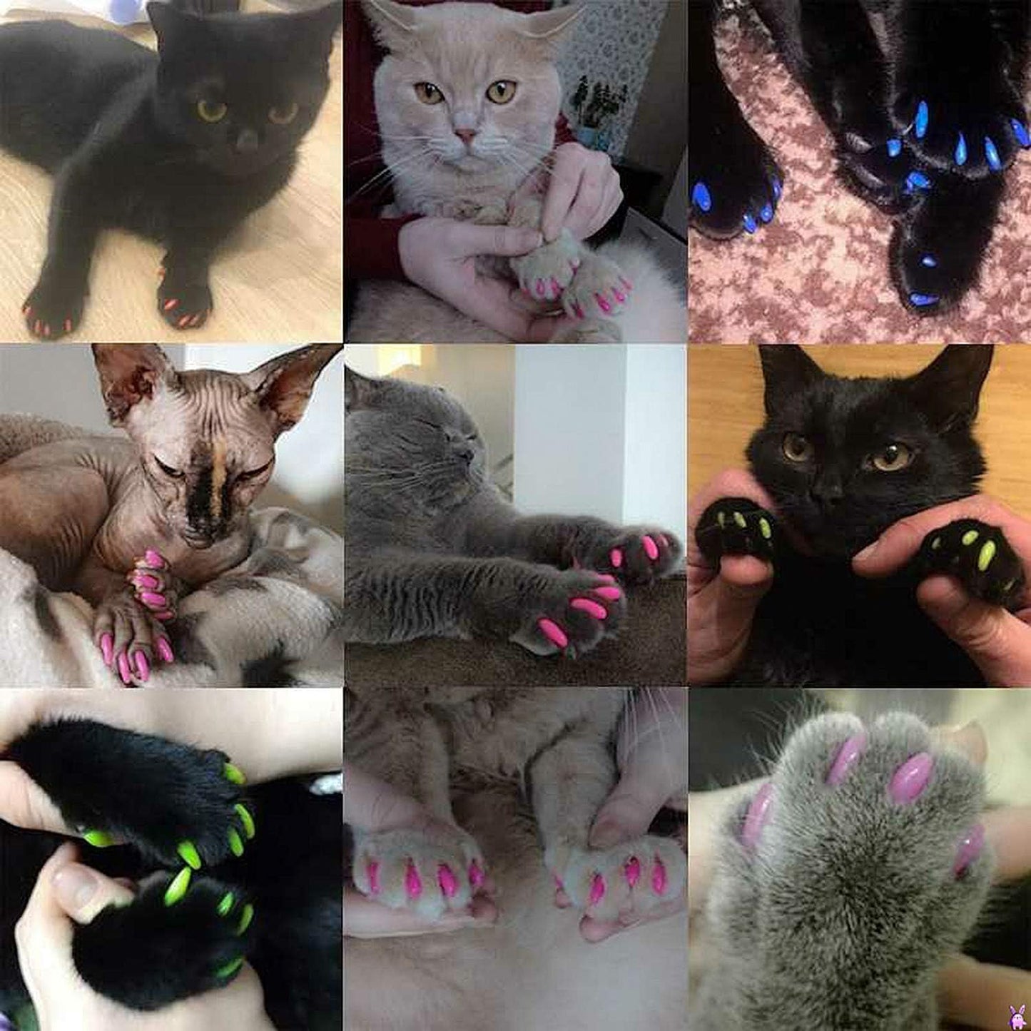 PawSafe Caps - Kratzschutz für Wunden