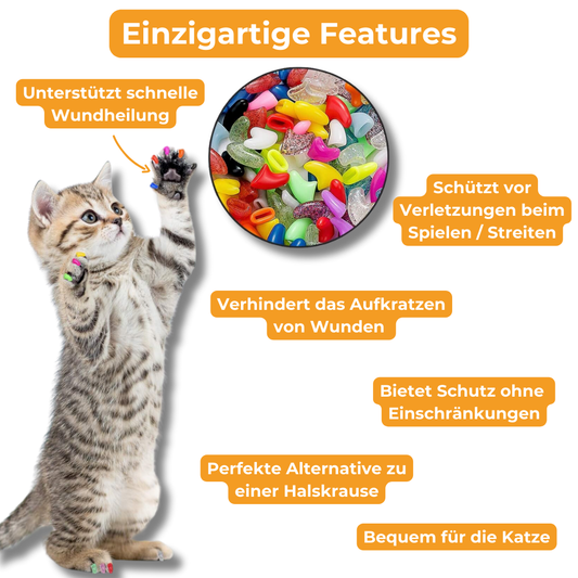 PawSafe Caps - Kratzschutz für Wunden