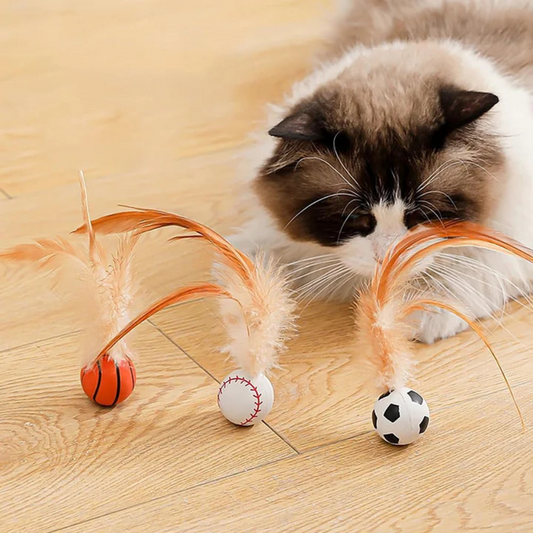 BounceBall - Katzenspielzeug