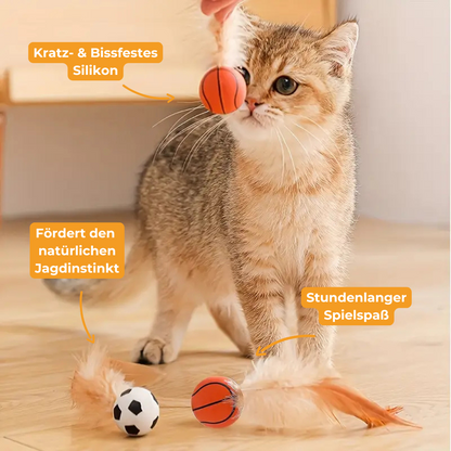 BounceBall - Katzenspielzeug