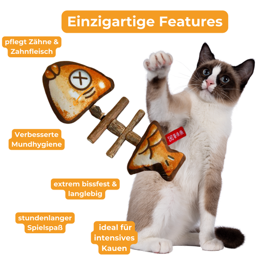 Knabberflosse - für gesunde Katzenzähne