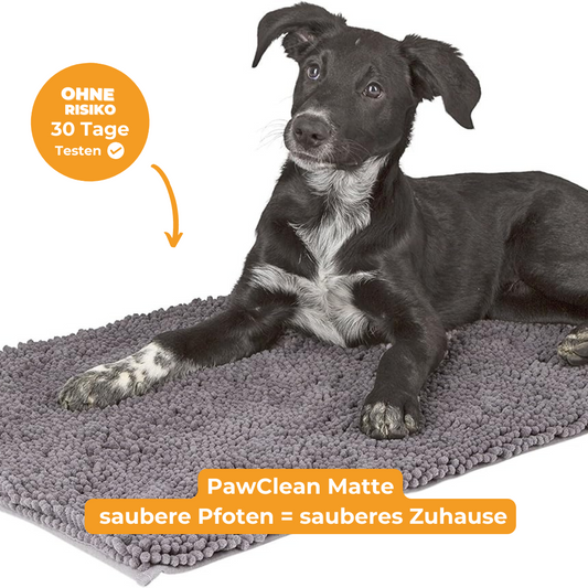 PawClean Matte - saubere Pfoten, sauberes Zuhause