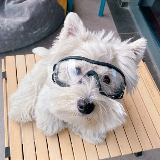 Glassy - Die Hundesonnenbrille